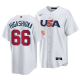 New York Yankees #66 Kyle Higashioka 2023 World Baseball Classic White  Men's USA Jersey