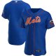 Men's Nike New York Mets Blank Royal Alternate 2020 Official Team Name MLB Jersey