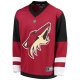 Youth Arizona Coyotes Fanatics Red Home Replica Blank Jersey