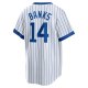 Men's Chicago Cubs Ernie Banks Nike White Home Cooperstown Collection Player Jersey