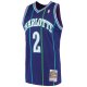 Men's Charlotte Hornets Larry Johnson Mitchell & Ness Purple 1994/95 Hardwood Classics Swingman Jersey