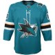 Youth San Jose Sharks Teal 2019/20 Home Premier Custom Jersey