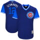 Men's Chicago Cubs #12 Kyle Schwarber Schwarbs Majestic Royal 2017 Players Weekend Jersey