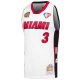 Unisex Miami Heat Dwyane Wade Mitchell & Ness White Hall of Fame Class of 2023 Throwback Swingman Jersey