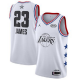 Men's Jordan Brand Los Angeles Lakers #23 LeBron James White 2019 All-Star Game Swingman NBA Jersey